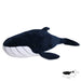 Wild Planet Tout sur la nature Blue Whale K8719