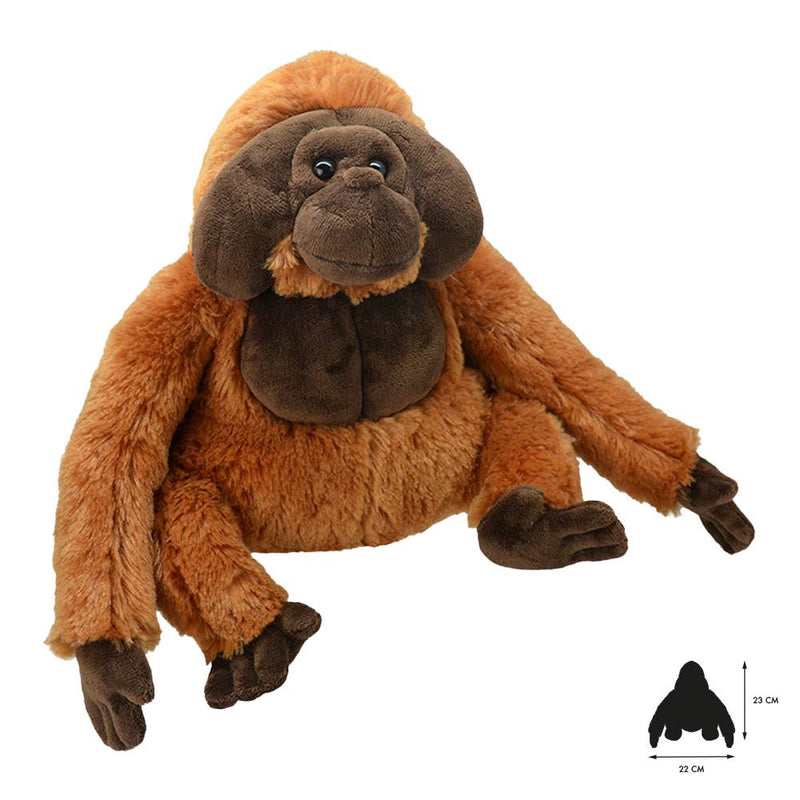 Wild Planet Tout sur la nature : orang-outan K8237