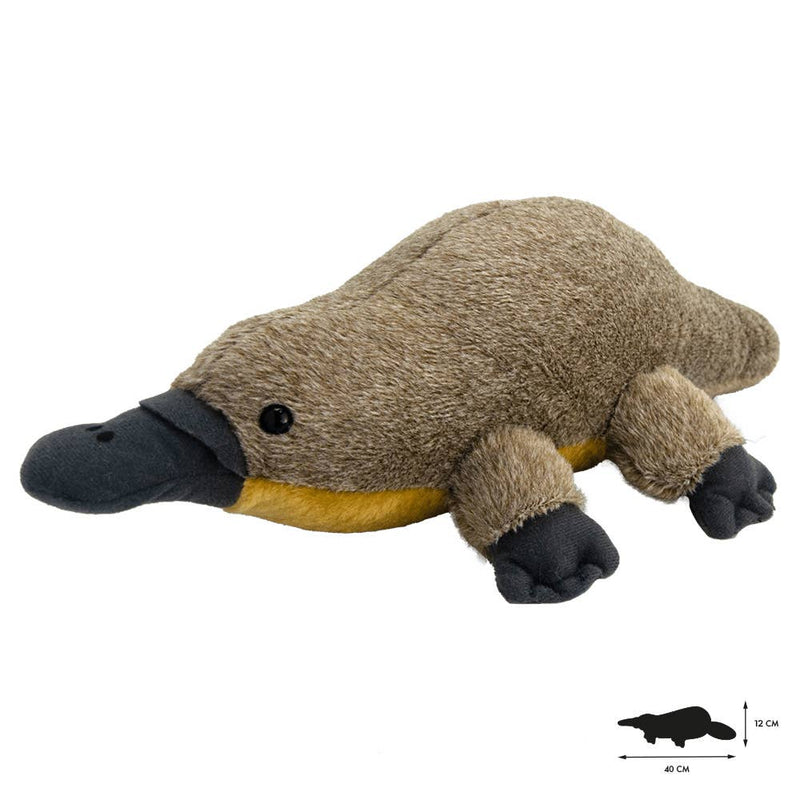 Wild Planet Tout sur la nature Platypus K8194