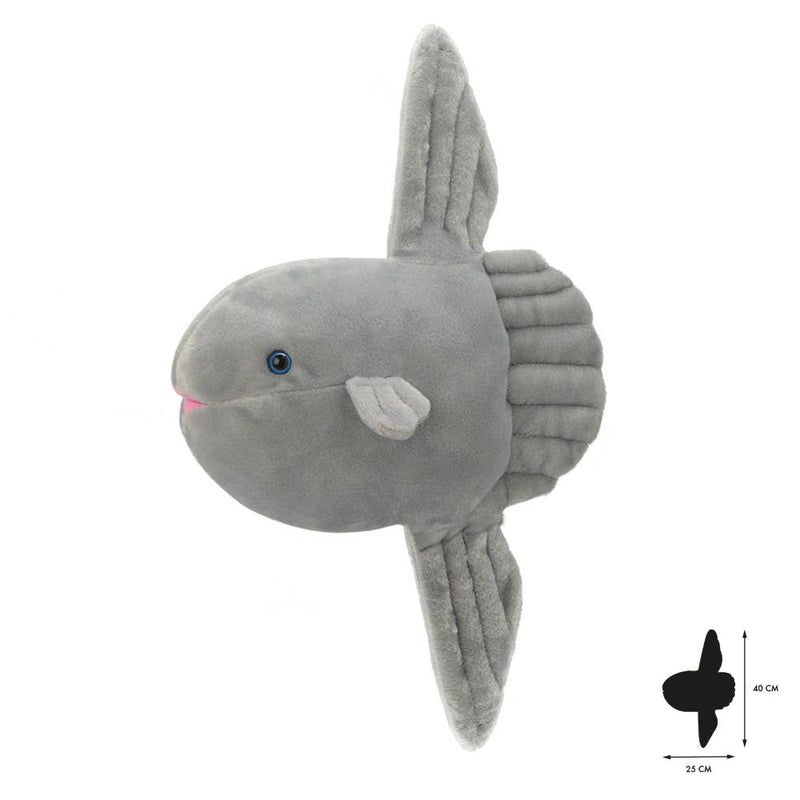 Wild Planet Tout sur la nature Sunfish K7489