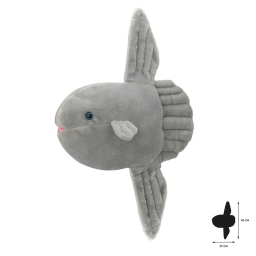 Wild Planet Tout sur la nature Sunfish K7489