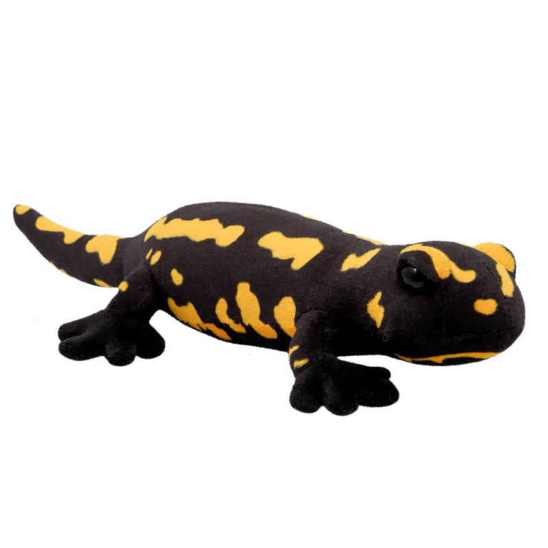 Wild Planet Tout sur la salamandre de feu de la nature K8797