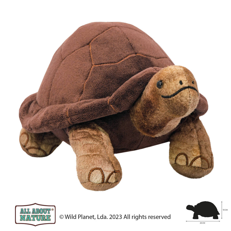 Wild Planet Tout sur Nature Giant Tortoise K8264