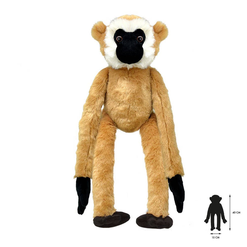Wild Planet Tout sur Nature Gibbon K8384