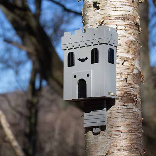 Wildlife Garden Gîte à Chauves-Souris CHATEAU A CHAUVES-SOURIS WG306