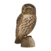 Wildlife Garden Décoration CHOUETTE CHEVECHE - DECOBIRD BY WILDLIFE GARDEN 7350054760690 WG455