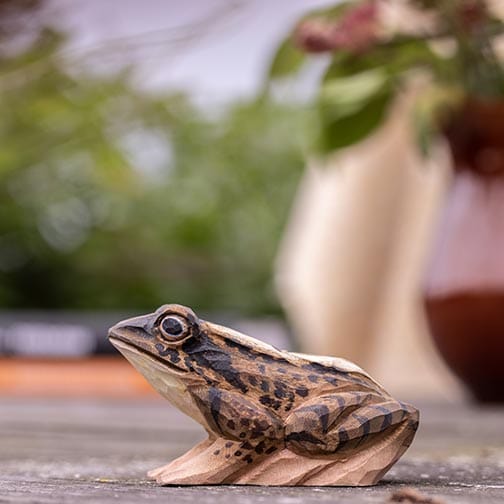 Wildlife Garden Décoration GRENOUILLE DES CHAMPS 7350054764711 WG5944