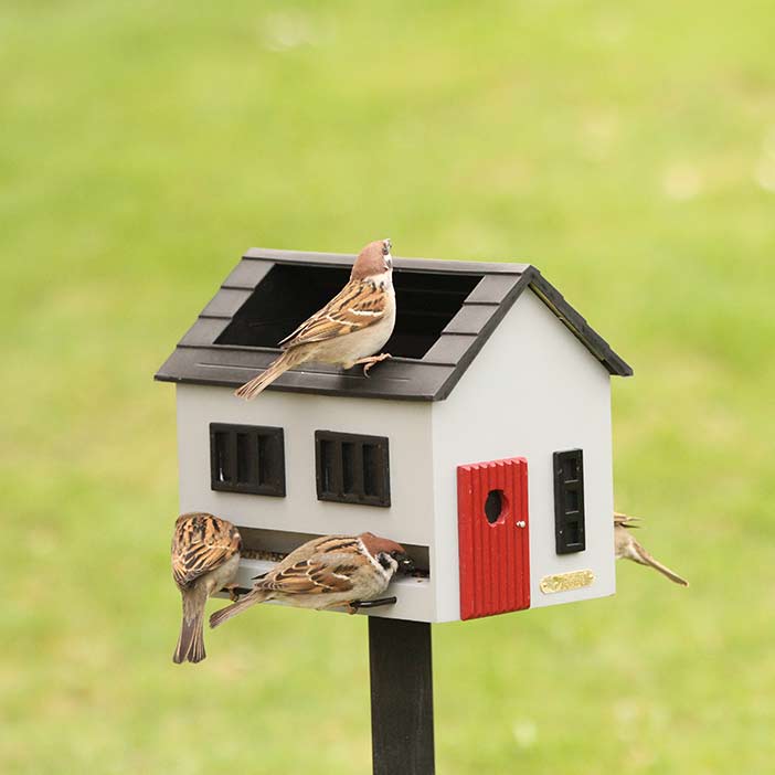 Wildlife Garden Mangeoires pour oiseaux MANGEOIRE AVEC BAIN MAISON GRISE 7350054763455 WG356