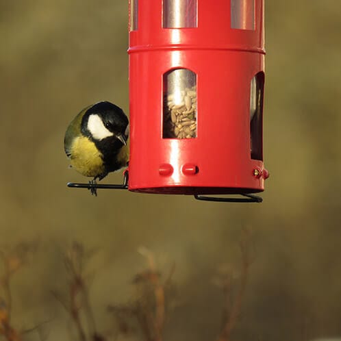 Wildlife Garden Mangeoires pour oiseaux MANGEOIRE COMBI GRAINES ROUGE 7350054762496 WG339