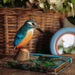 Wildlife Garden Décoration MARTIN PÉCHEUR D'EUROPE EN BOIS - DECOBIRD BY WILDLIFE 7350054765886 WG4454