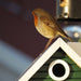 Wildlife Garden Mangeoires pour oiseaux MULTIHOLK MAISON VERTE 7350054761321 WG107