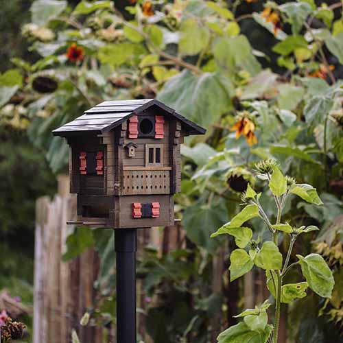 Wildlife Garden Mangeoires pour oiseaux NICHOIR CHALET DE MONTAGNE 7350054760201 WG215