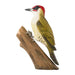 Wildlife Garden Décoration PIC VERT - OISEAU EN BOIS REALISE A LA MAIN 7350054760669 WG452