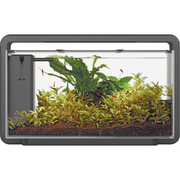 Superfish Aquariums Aquarium Home 30 Noir - 25L - Superfish 8715897314247 A4051565