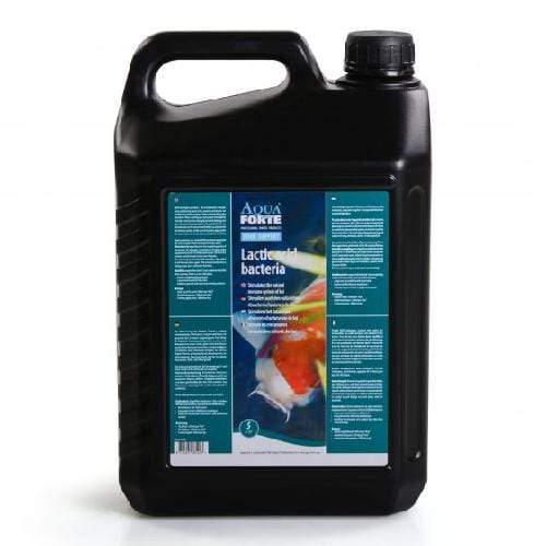 Aquaforte PVC AquaForte Les bactéries lactiques 5ltr 8717605085203 SC861