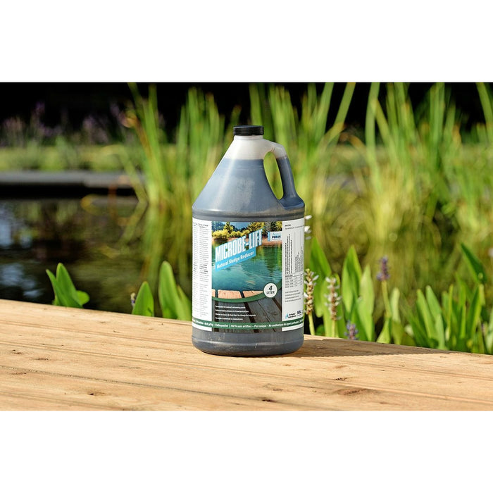 Aquaforte Produits d'entretien Microbe-Lift Natural Sludge Reducer 4L - Réducteur de vase 97121206459 SC788