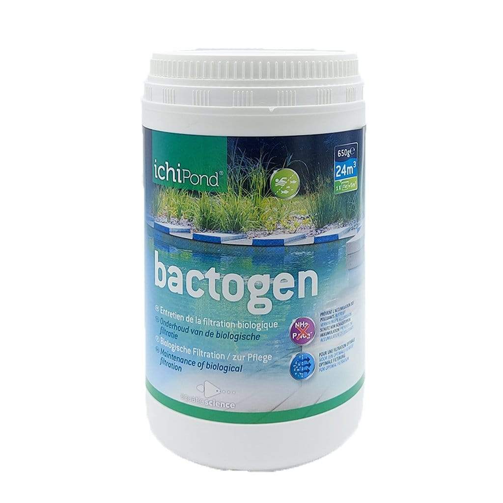 Bactéries pour étang, bassin et pièce d'eau. - Culture bactérienne ...