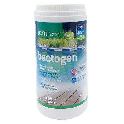 Bactogen pour 40m³ - Bactéries d'entretien de la filtration