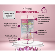 Aquatic Science Produits d'entretien Biobooster+ pour 500m³ - Le nettoyeur du bassin - Contre les algues et la vase 5425009253618 NEOBBP500B