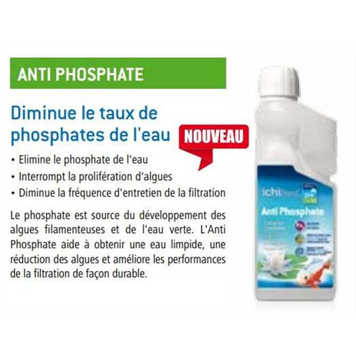 Aquatic Sciences Produits d'entretien ANTI PHOSPHATES 1L - PERMET DE LIMITER LES LONGUES ALGUES 5425030688366 NEOANP001B