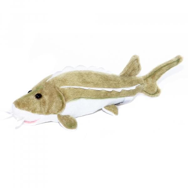 Aquigarden Peluches Esturgeon Peluche de 25CM 4003402140547 14054