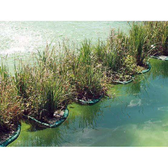 Aquigarden Accessoires pour plantes Île flottante pour plantes aquatiques rectangle 121CM X 43CM 8717605078946 SG385