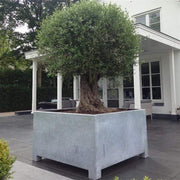 Aquigarden Jardinière en acier galvanisé - Vadim 0.6m x 0.6m x 0,6m vs8