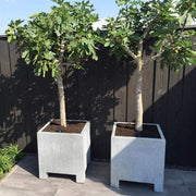 Aquigarden Jardinière en acier galvanisé - Vadim 1.4m x 1.4m x 0,8m vs3.1