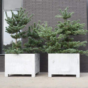 Aquigarden Jardinière en acier galvanisé - Vadim 2m x 0.5m x 0,6m vs22