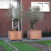 Aquigarden Jardinière en bois exotique - Valencia 0.8m x 0.8m x 0.6m HR6.1