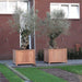 Aquigarden Jardinière en bois exotique - Valencia 0.8m x 0.8m x 0.8m HR6