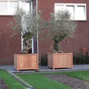 Aquigarden Jardinière en bois exotique - Valencia 1m x 1m x 0.95m HR5
