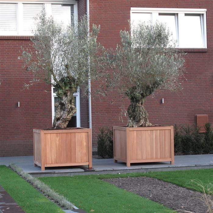 Aquigarden Jardinière en bois exotique - Valencia 1m x 1m x 0.95m HR5