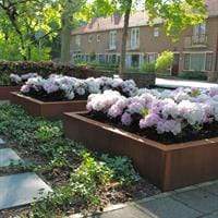 Aquigarden Jardinière en corten - Andes carré 1.4m x 1.4m x 0.4m ca3.2