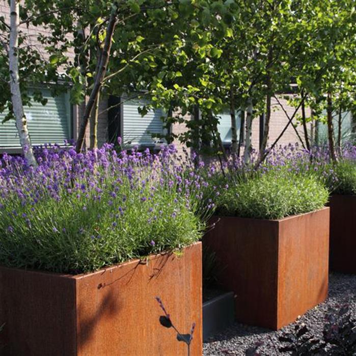 Aquigarden Jardinière en corten - Andes carré haut 0.4m x 0.4m x 1m CA10.3
