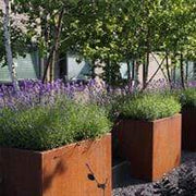 Aquigarden Jardinière en corten - Andes rectangulaire 1.2m x 0.5m x 0.6m ca22.2