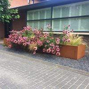 Aquigarden Jardinière en corten - Andes rectangulaire 2m x 0.4m x 0.8m ca24