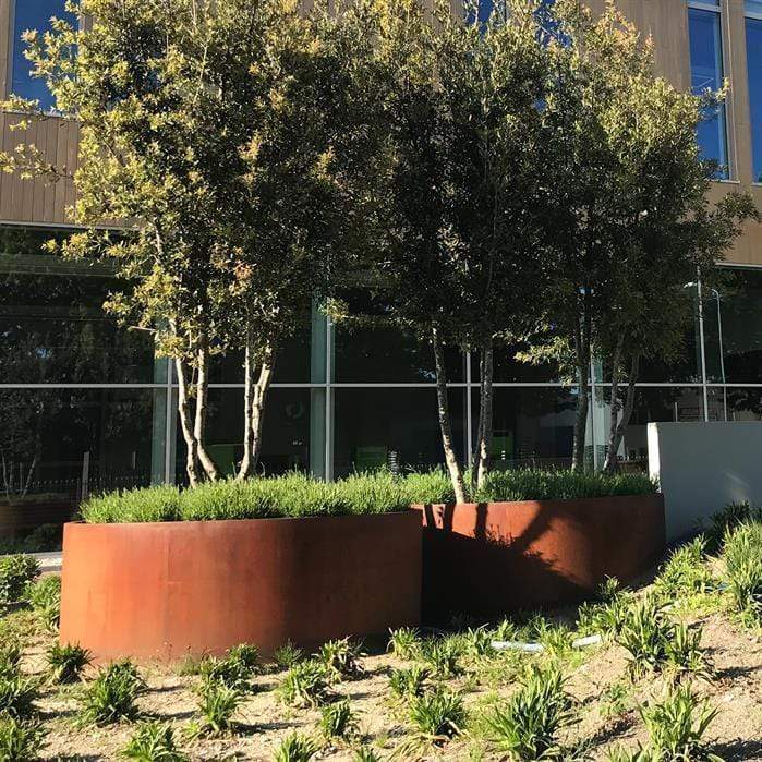 Aquigarden Jardinière en corten - Atlas sans fond 1.2m x 0.6m CTW4.2