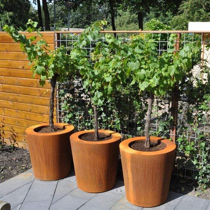 Aquigarden Jardinière en corten - Cado 0.8m x 0.8m CC6.1