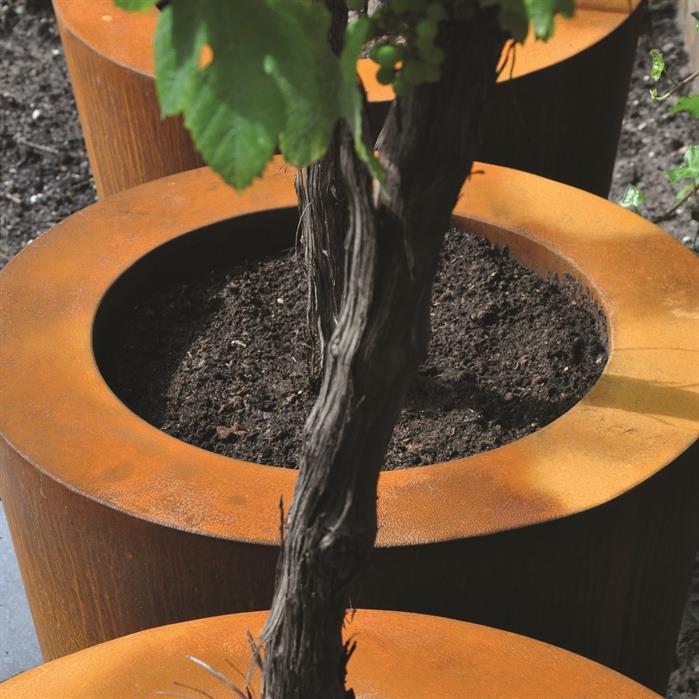 Aquigarden Jardinière en corten - Cado 0.8m x 0.8m CC6.1