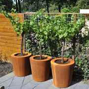 Aquigarden Jardinière en corten - Cado 1m x 0.6m CC5.2