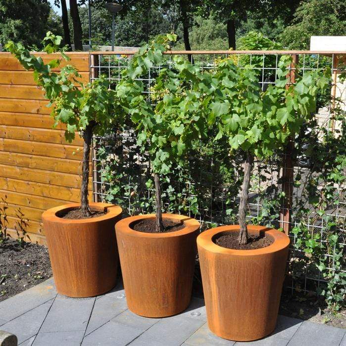 Aquigarden Jardinière en corten - Cado 1m x 1m CC5