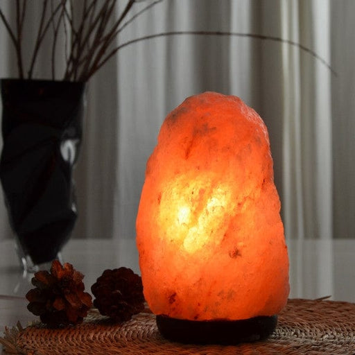 Aquigarden Lampe en Cristal de Sel d'Himalaya de 2 à 3 kg