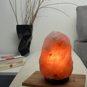Aquigarden Lampe en Cristal de Sel d'Himalaya de 2 à 3 kg