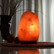 Aquigarden Lampe en Cristal de Sel d'Himalaya de 2 à 3 kg
