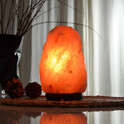 Aquigarden Lampe en Cristal de Sel d'Himalaya de 2 à 3 kg
