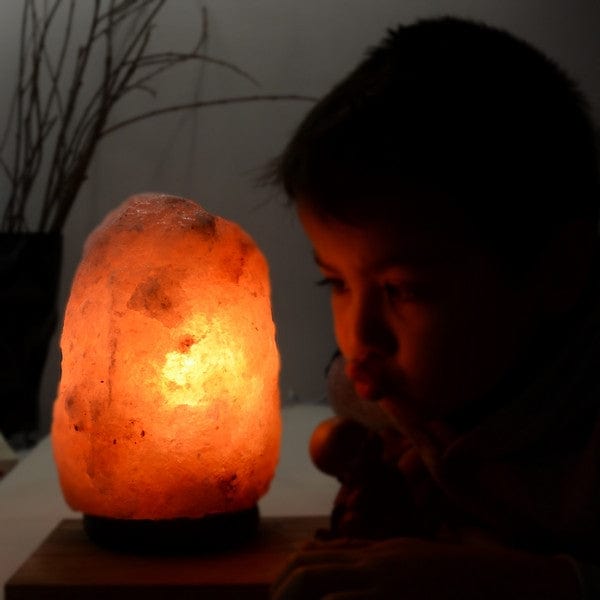 Aquigarden Lampe en Cristal de Sel d'Himalaya de 2 à 3 kg
