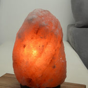 Aquigarden Lampe en Cristal de Sel d'Himalaya de 2 à 3 kg