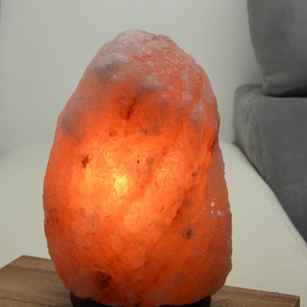 Aquigarden Lampe en Cristal de Sel d'Himalaya de 2 à 3 kg