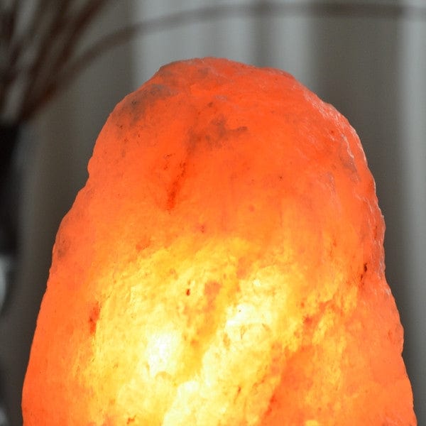 Aquigarden Lampe en Cristal de Sel d'Himalaya de 2 à 3 kg